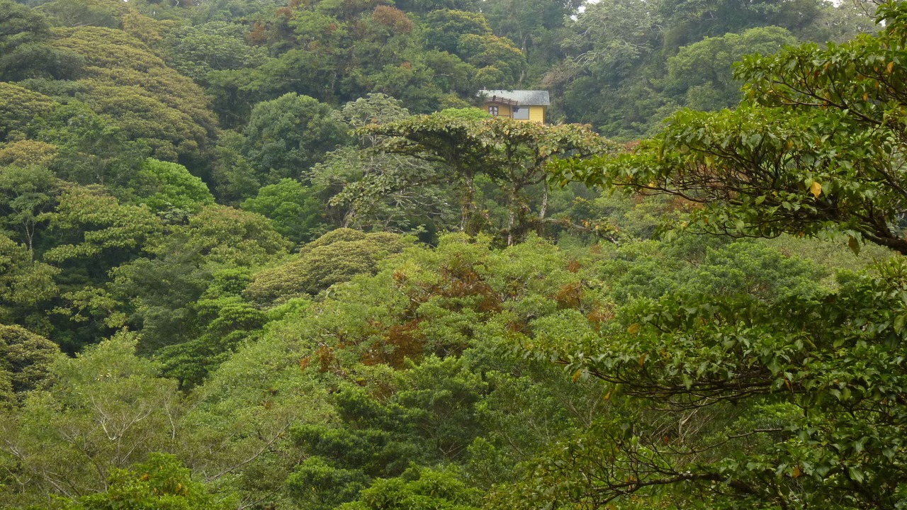 Photo of Others in Monteverde