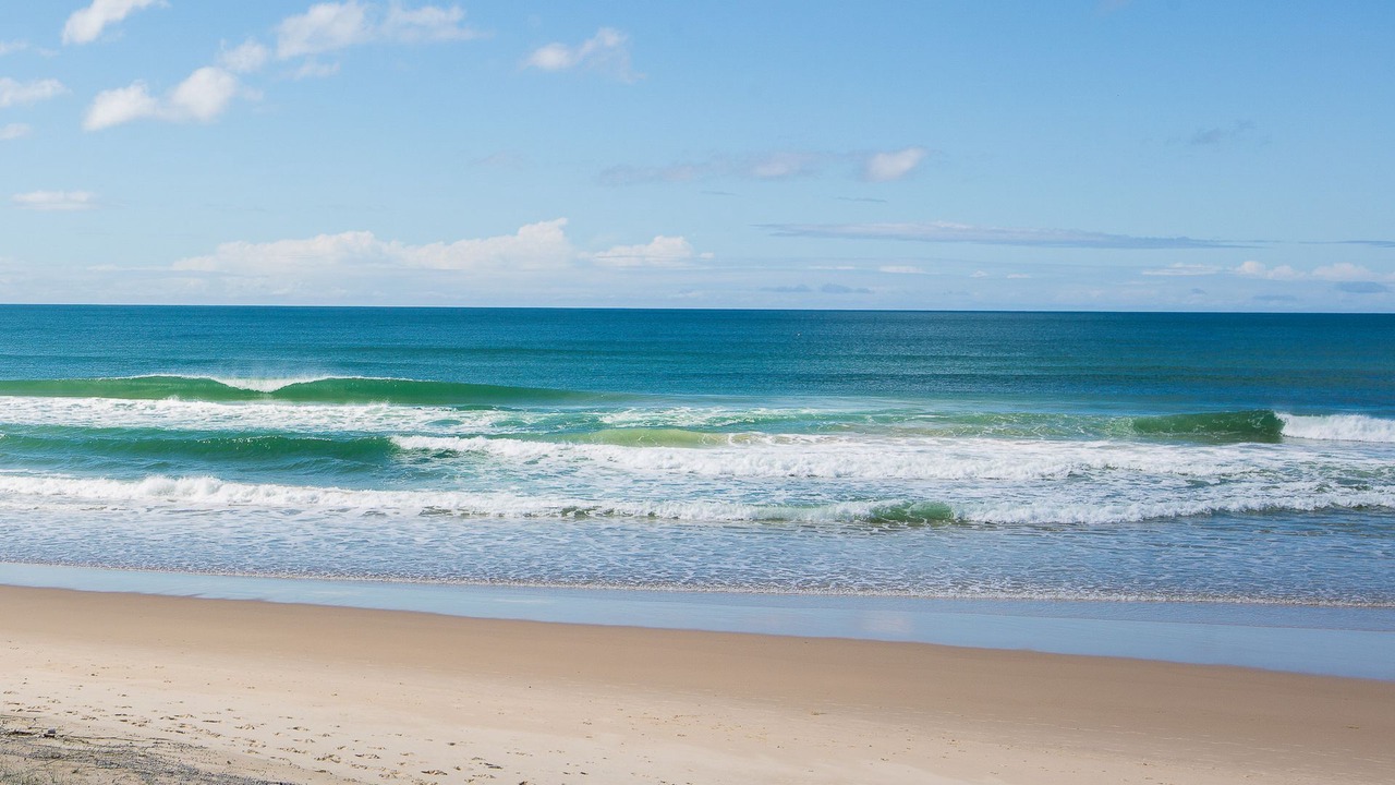 Photo of Others in Peregian Beach