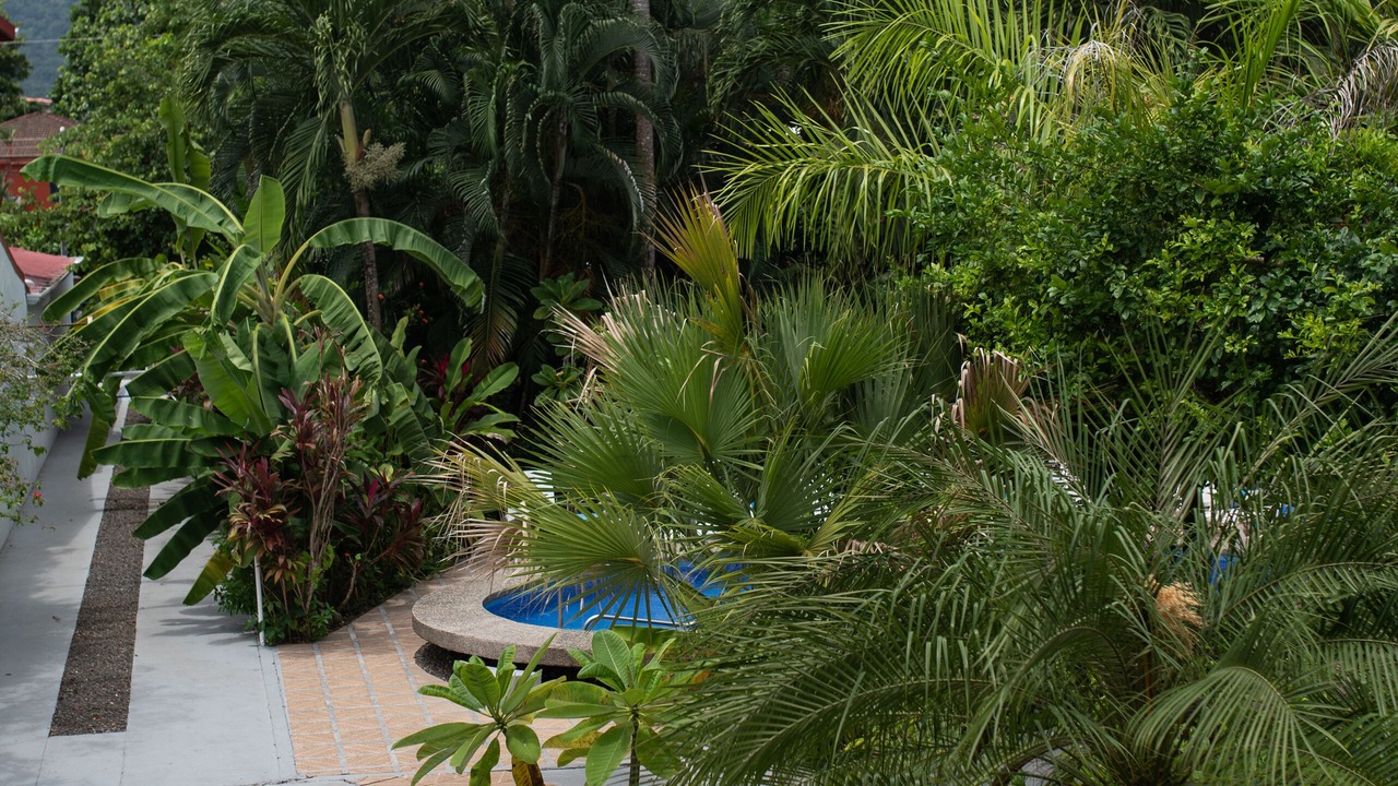 Photo of Outdoor in Jaco