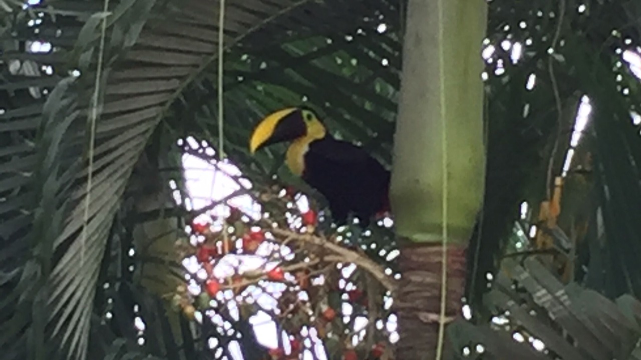 Photo of Outdoor in Jaco