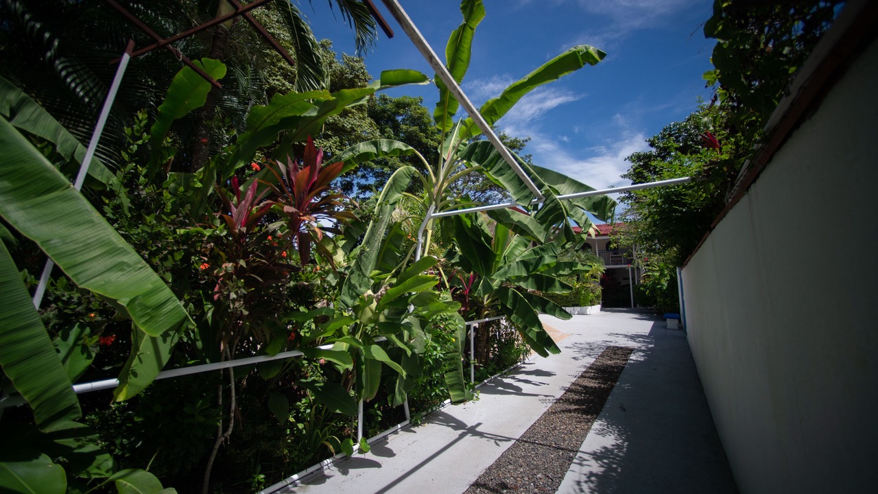 Photo of Outdoor in Jaco
