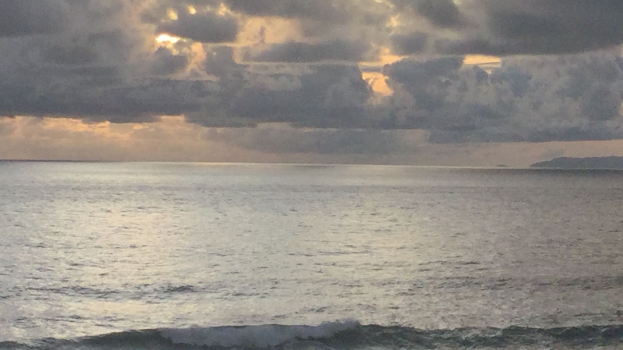 Photo of Others in Jaco