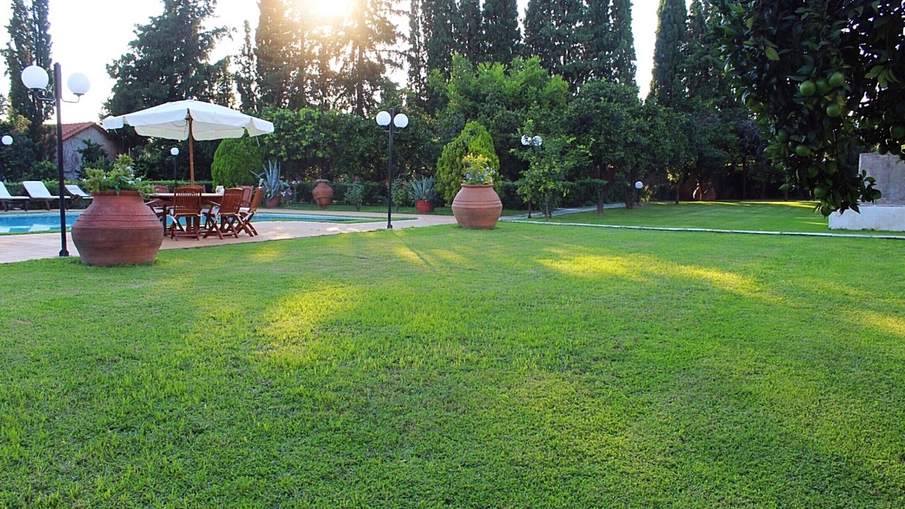 Photo of Outdoor in Artemida