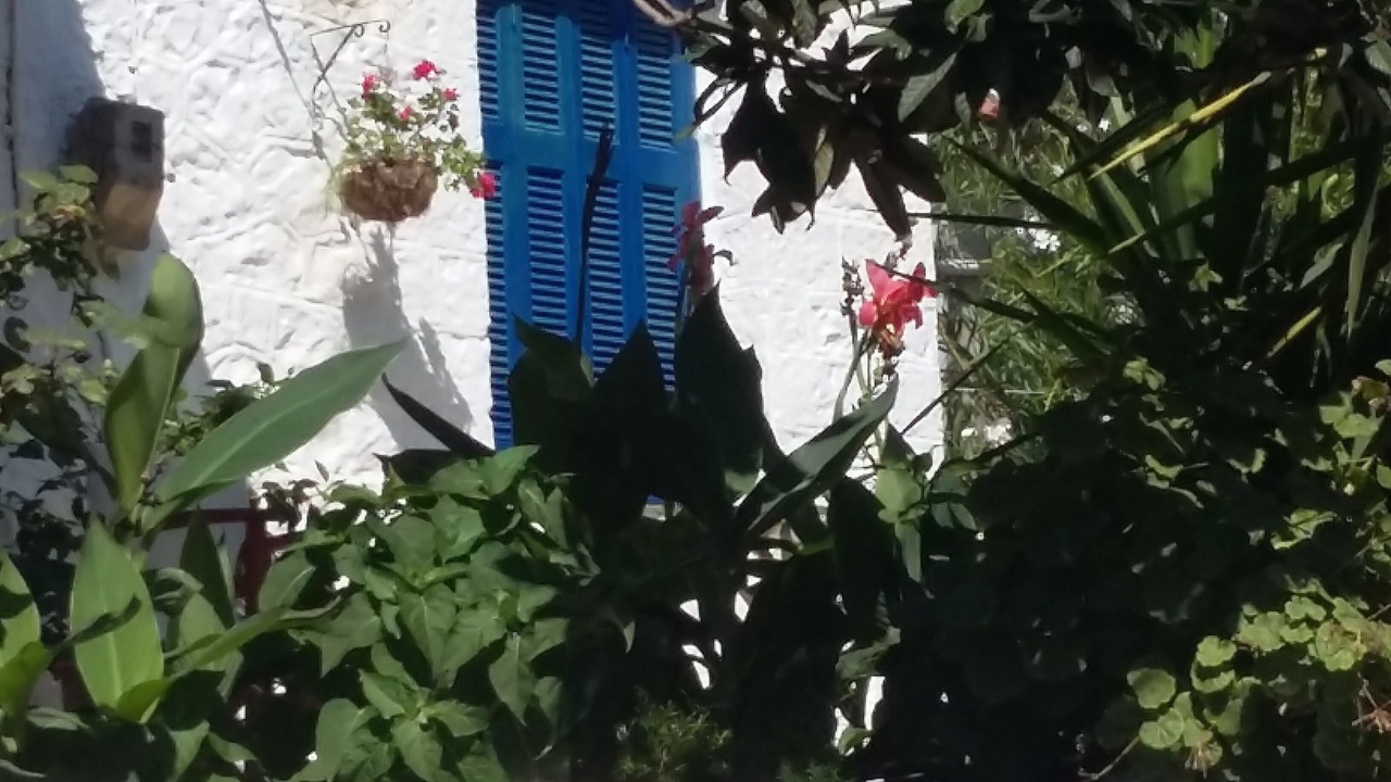 Photo of Outdoor in Amfilochia