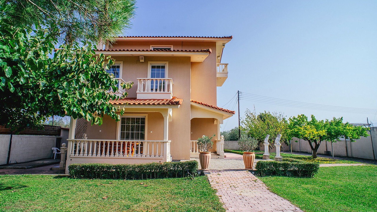 Photo of Outdoor in Stylida