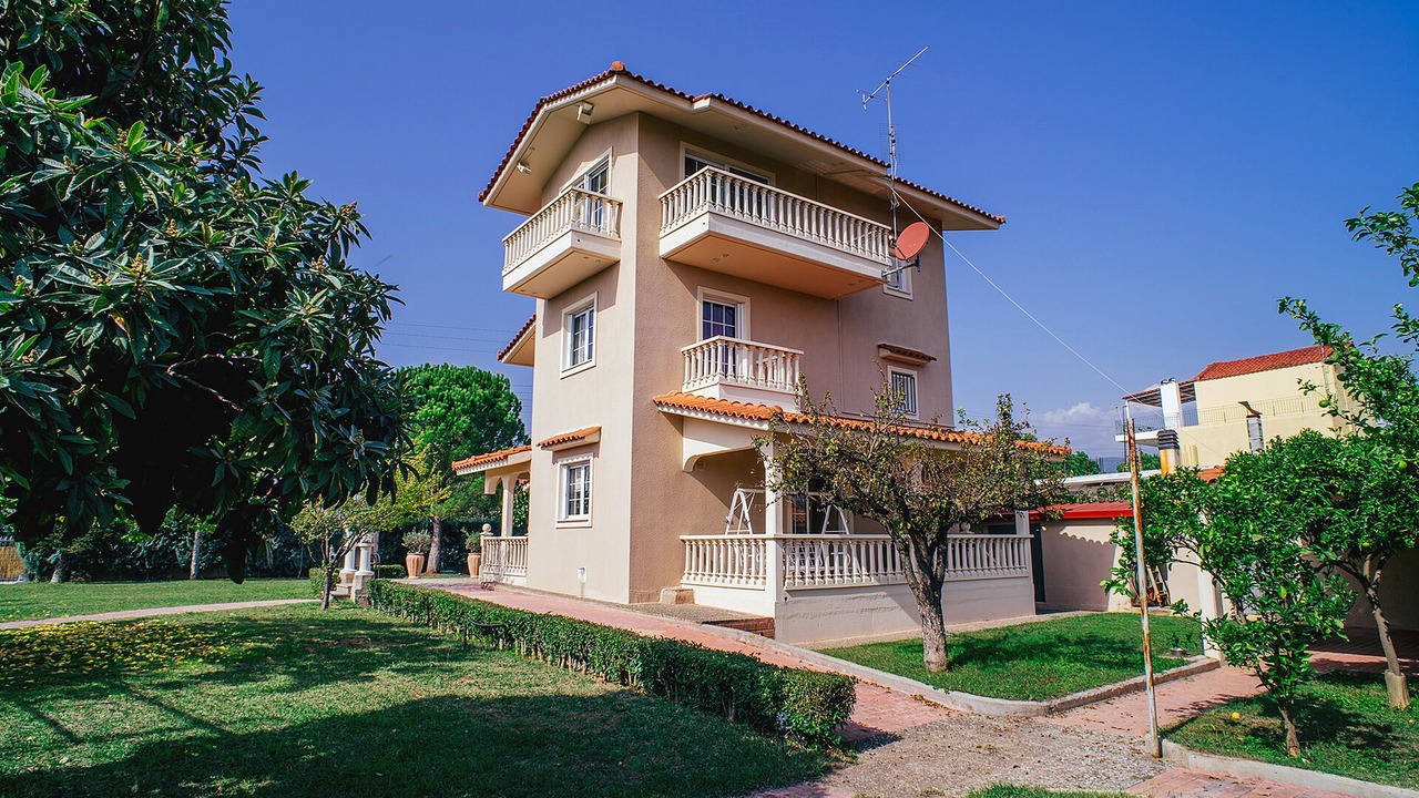 Photo of Outdoor in Stylida