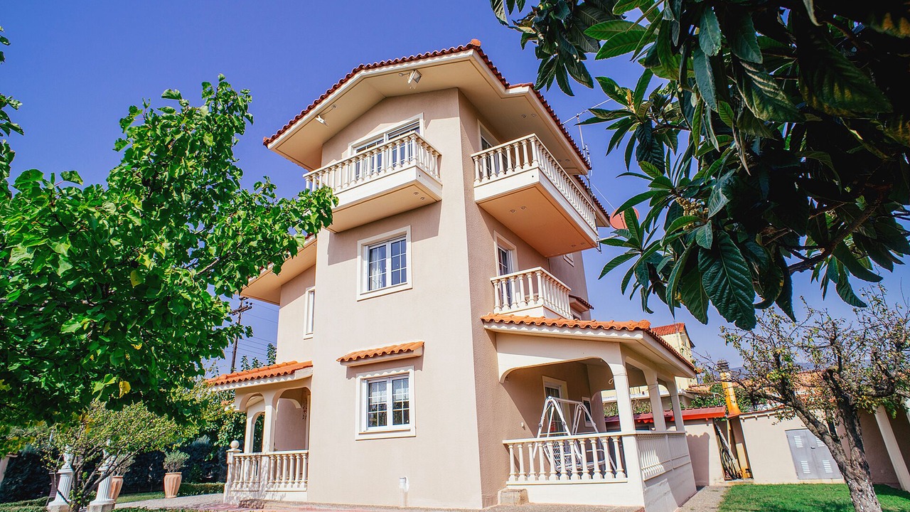Photo of Outdoor in Stylida