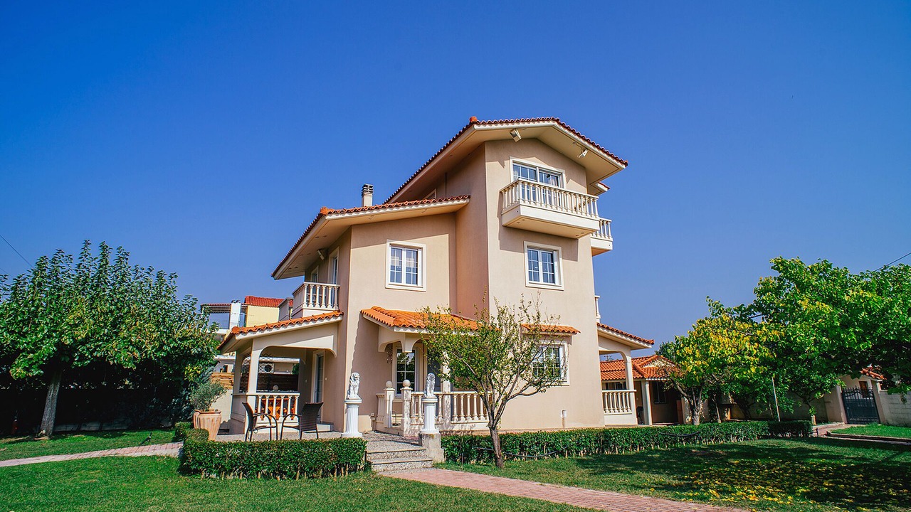 Photo of Outdoor in Stylida