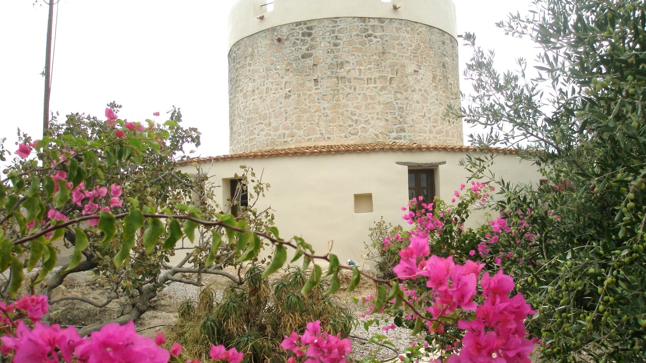 Photo of Others in Aegina