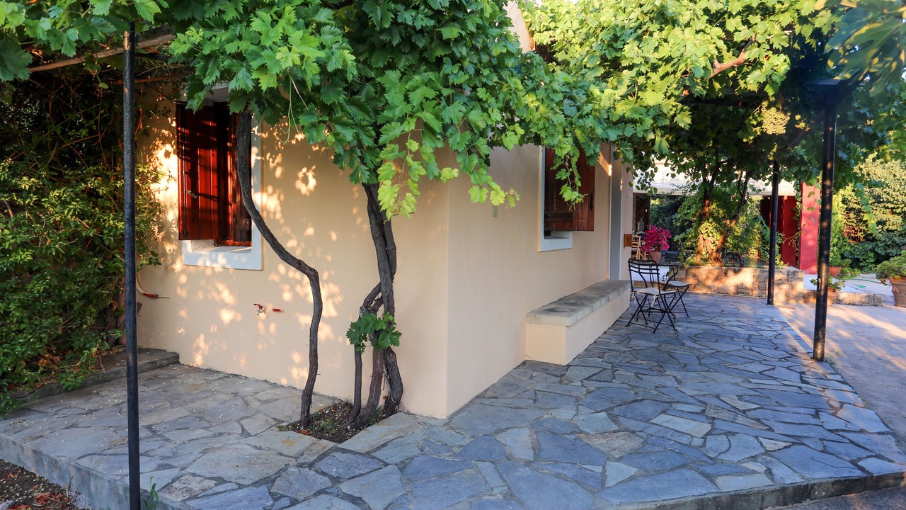 Photo of Others in Aegina