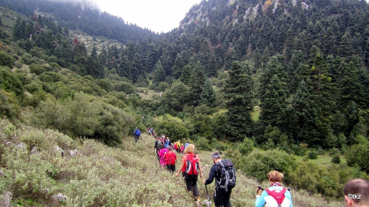 Photo of Others in Lilaia