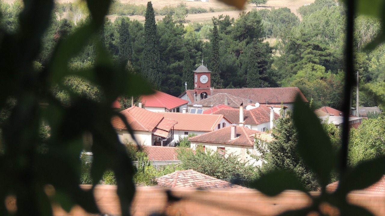 Photo of Outdoor in Lilaia