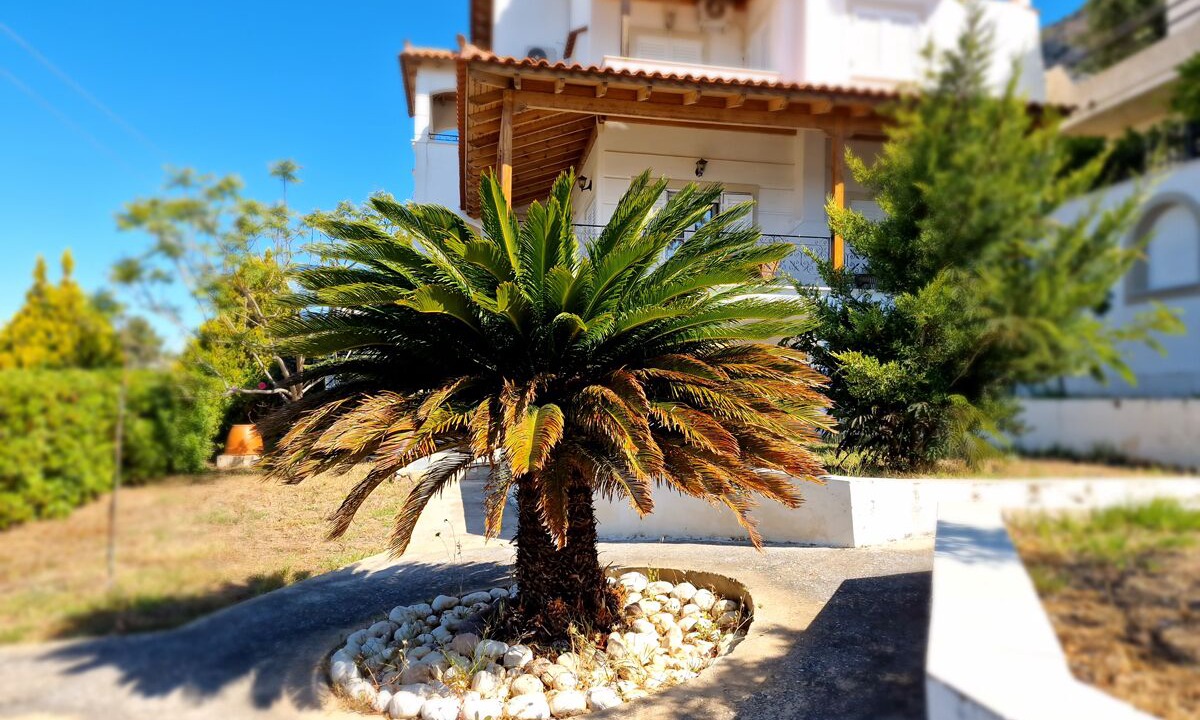 Photo of Outdoor in Porto Rafti