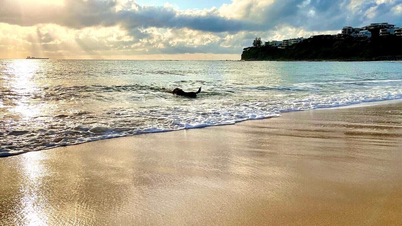 Photo of Others in Moffat Beach