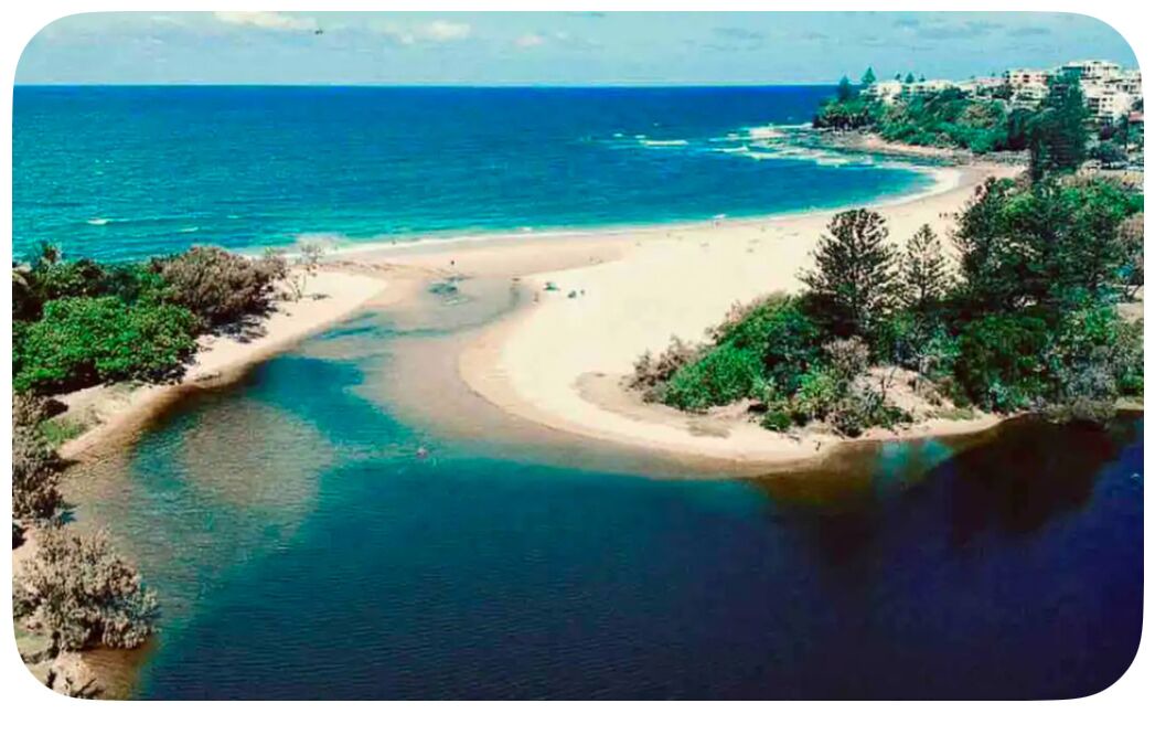 Photo of Others in Moffat Beach