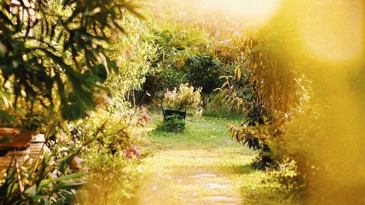 Photo of Outdoor in Aigialeia