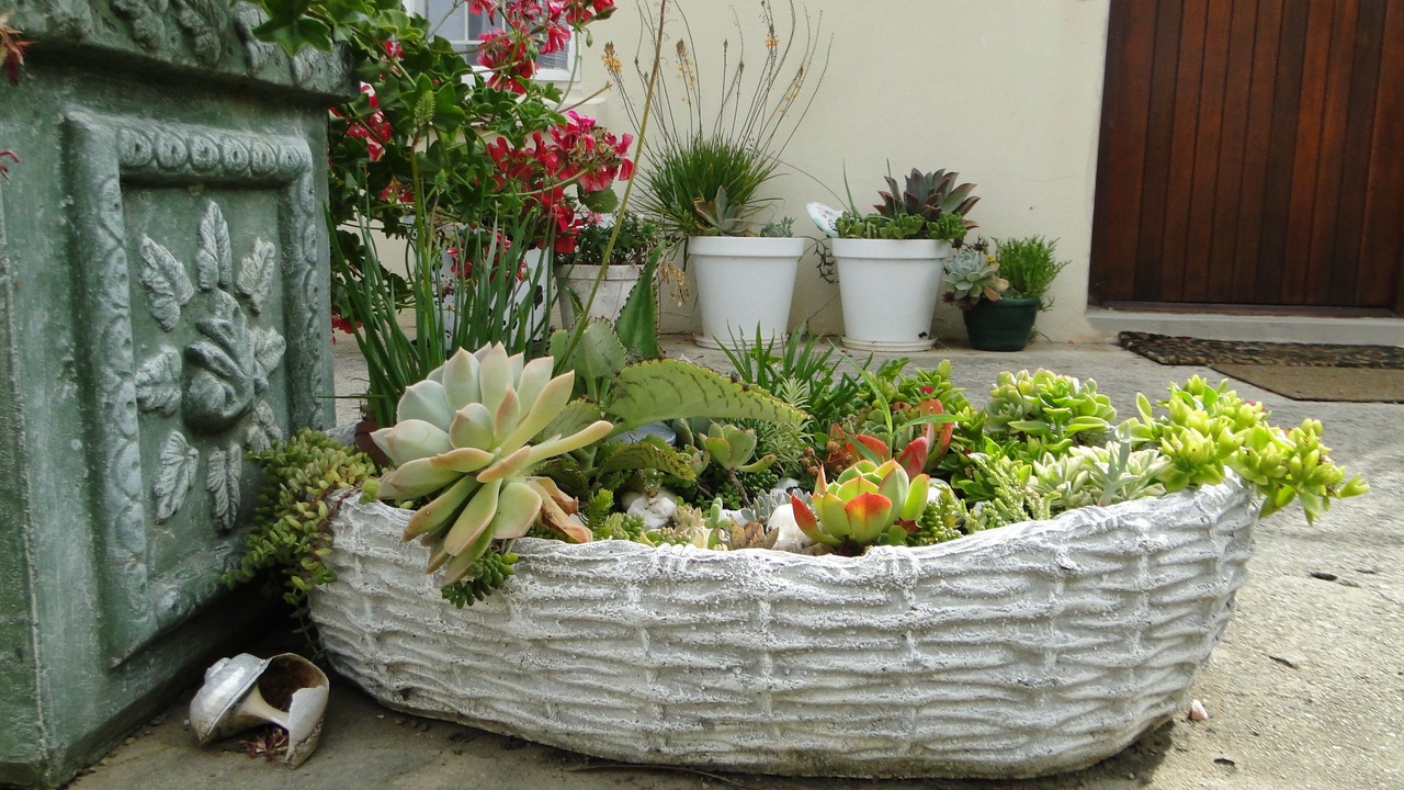 Photo of Outdoor in Swellendam