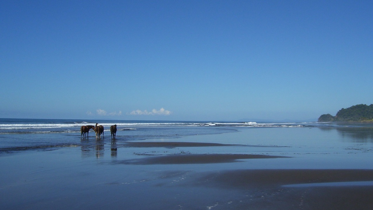 Photo of Others in Playa Hermosa