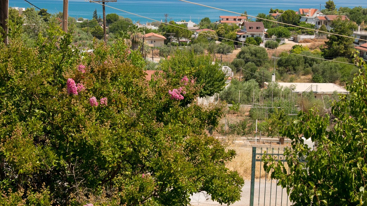 Photo of Outdoor in Dilesi
