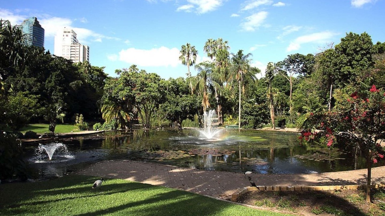 Photo of Outdoor in West End