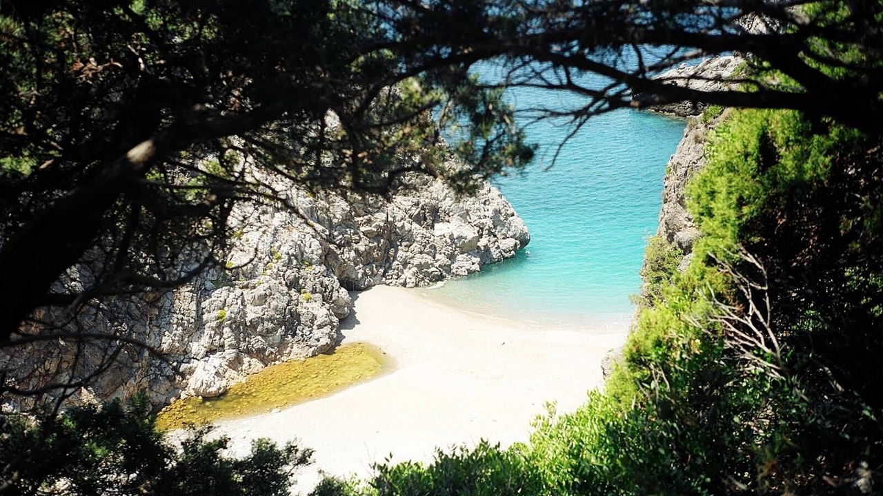 Photo of Others in Milopotamos