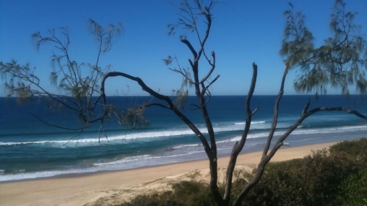 Photo of Others in Castaways Beach