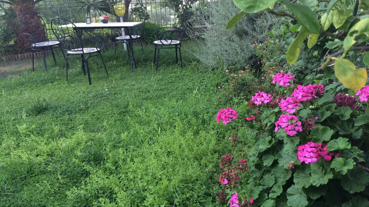 Photo of Outdoor in Asini