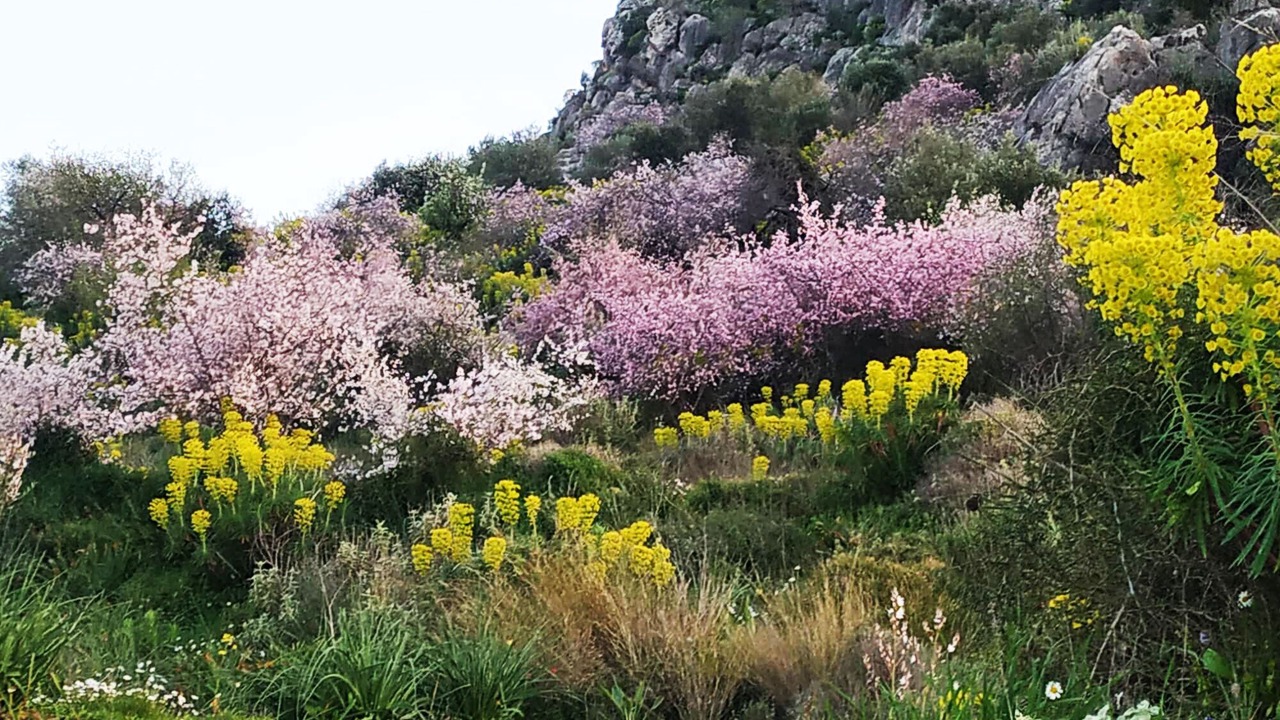 Photo of Outdoor in Asini
