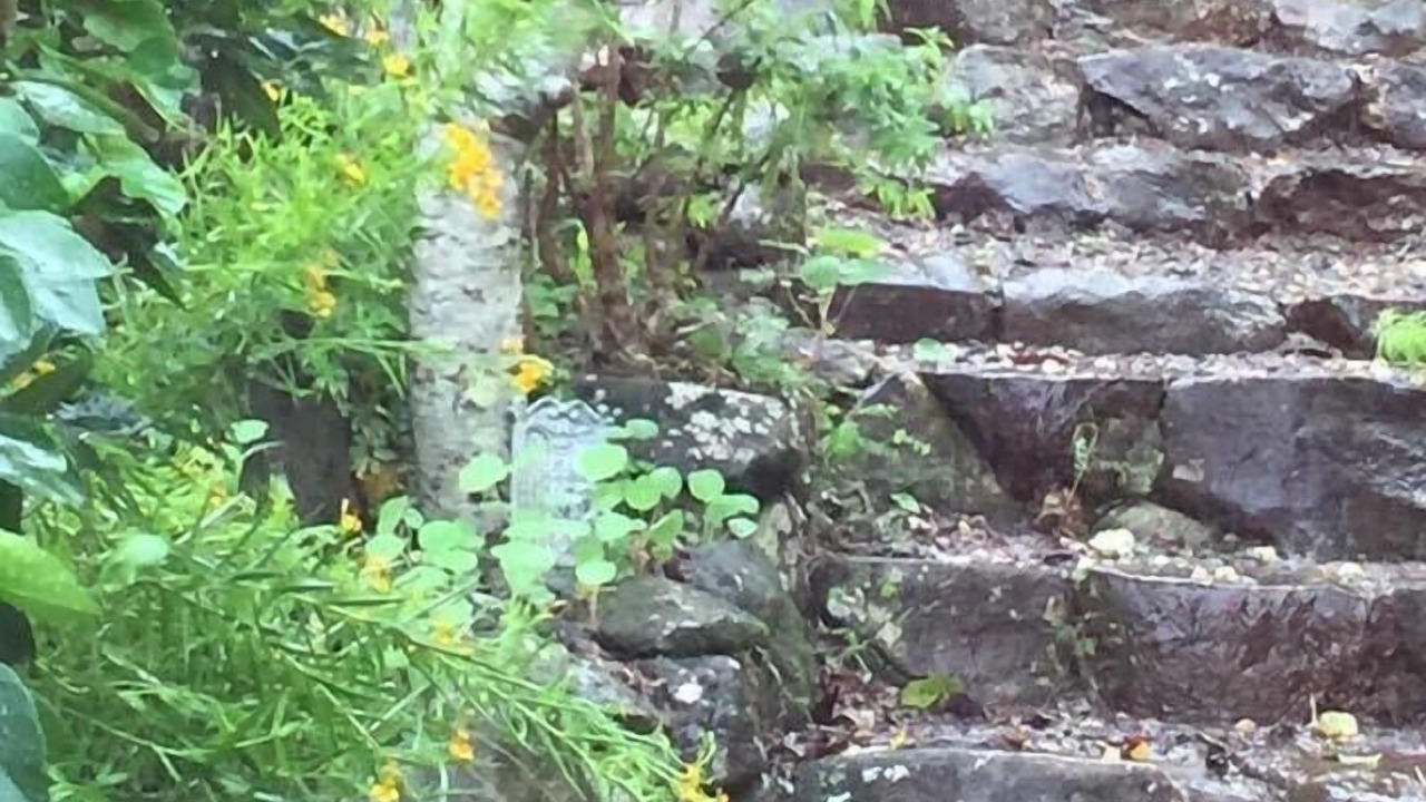 Photo of Others in Beechmont