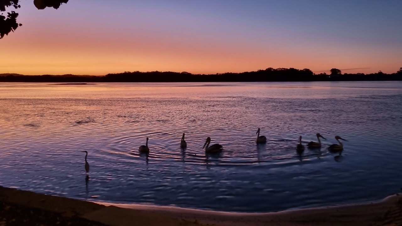 Photo of Others in Maroochydore