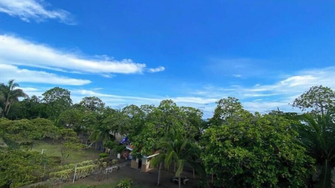 Photo of Others in Bejuco