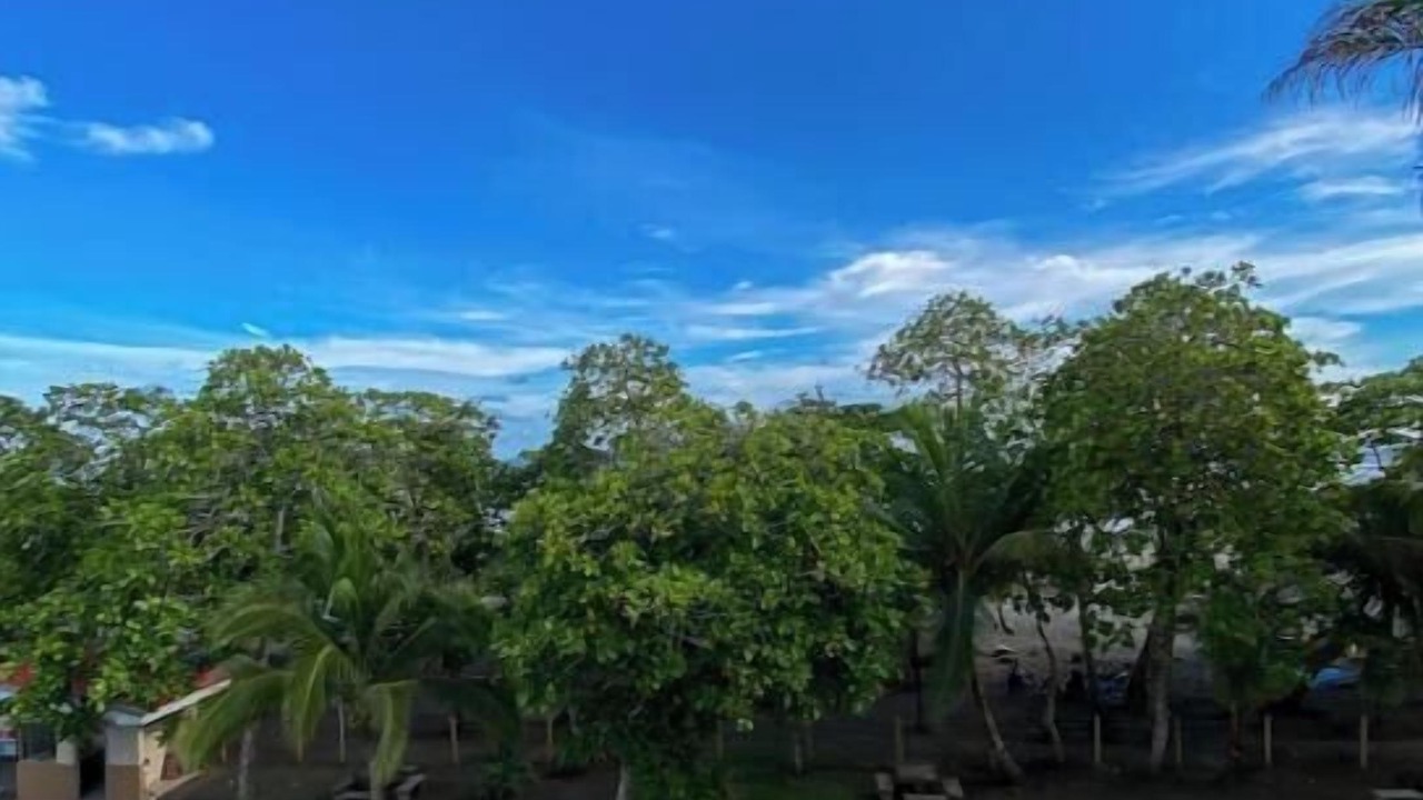 Photo of Outdoor in Bejuco