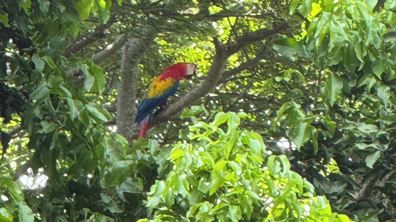 Photo of Others in Las Delicias