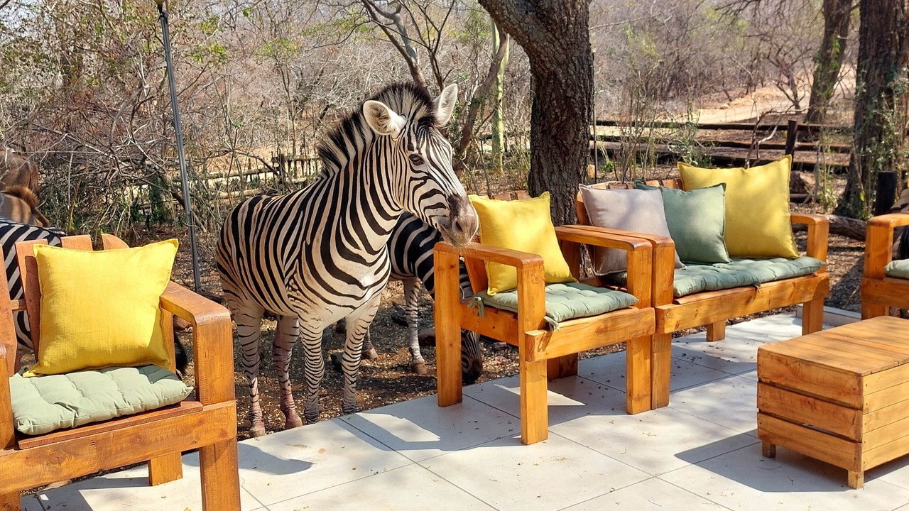 Photo of Others in Marloth Park