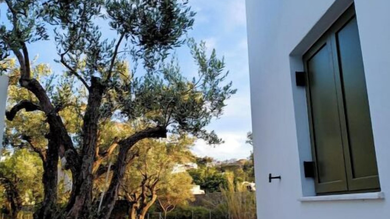 Photo of Outdoor in Skiros