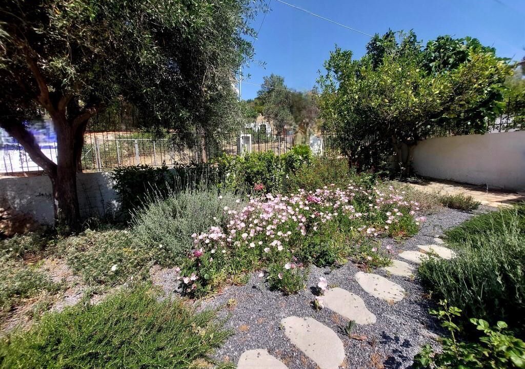 Photo of Outdoor in Anavyssos