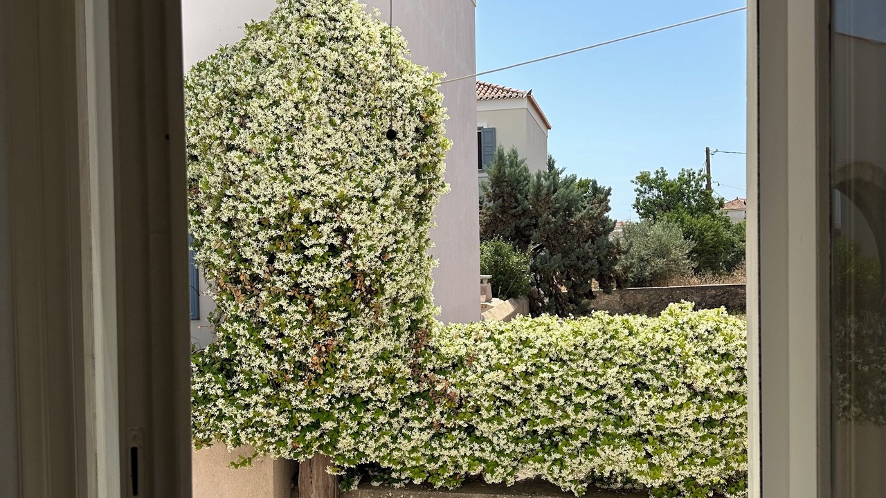 Photo of Others in Spetses