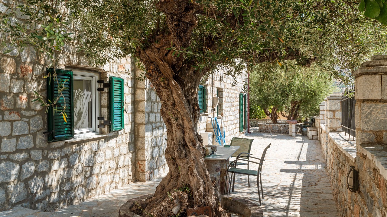 Photo of Outdoor in East Mani
