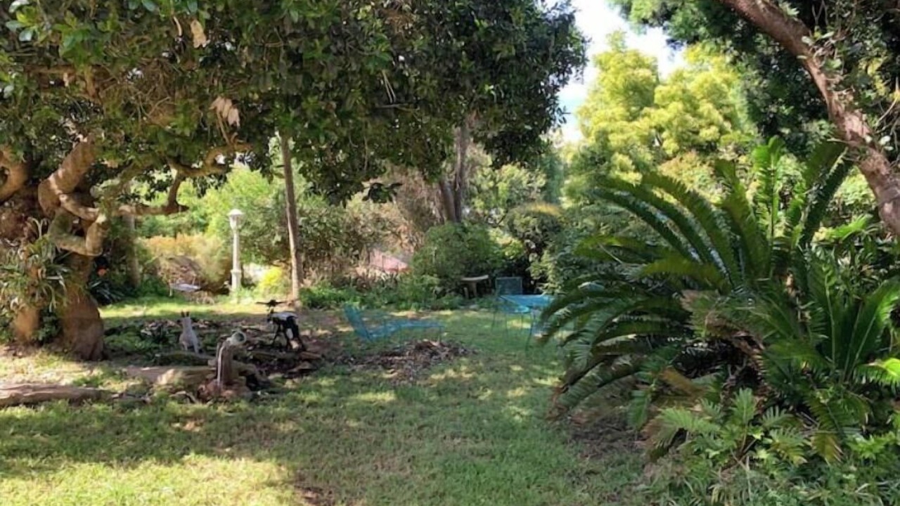 Photo of Outdoor in Glentana