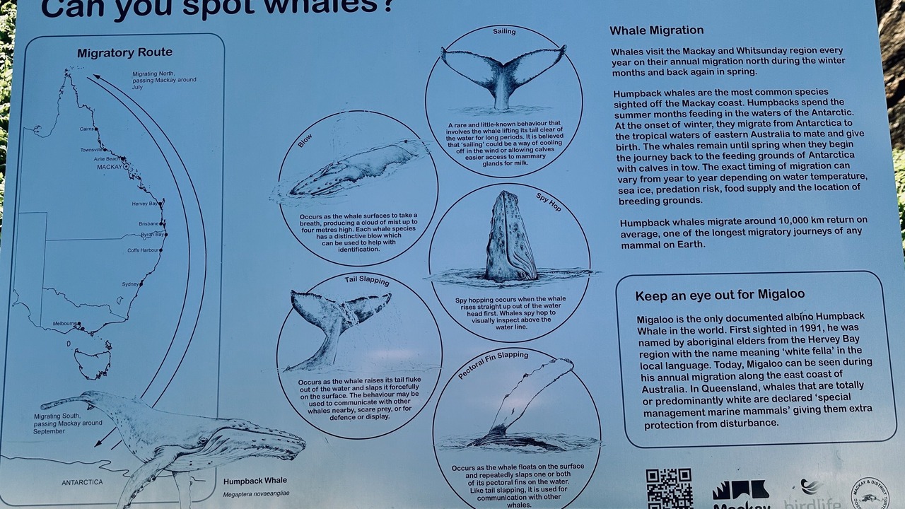 Photo of Others in Slade Point