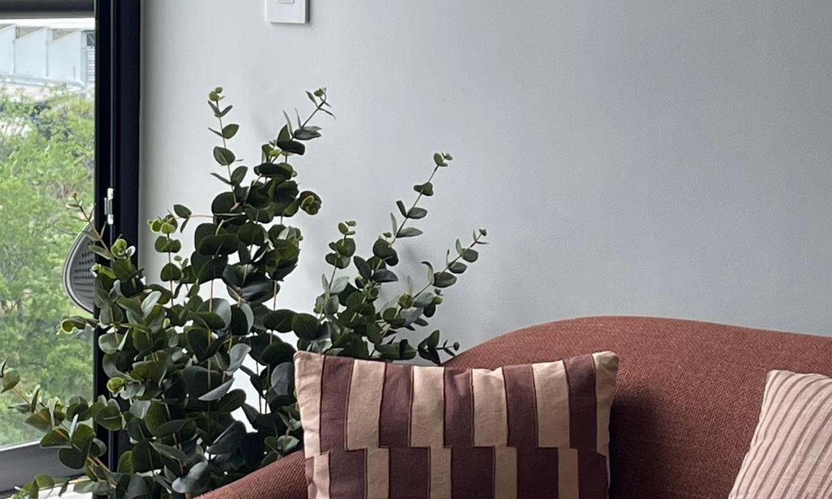 Photo of Livingroom in San Jose