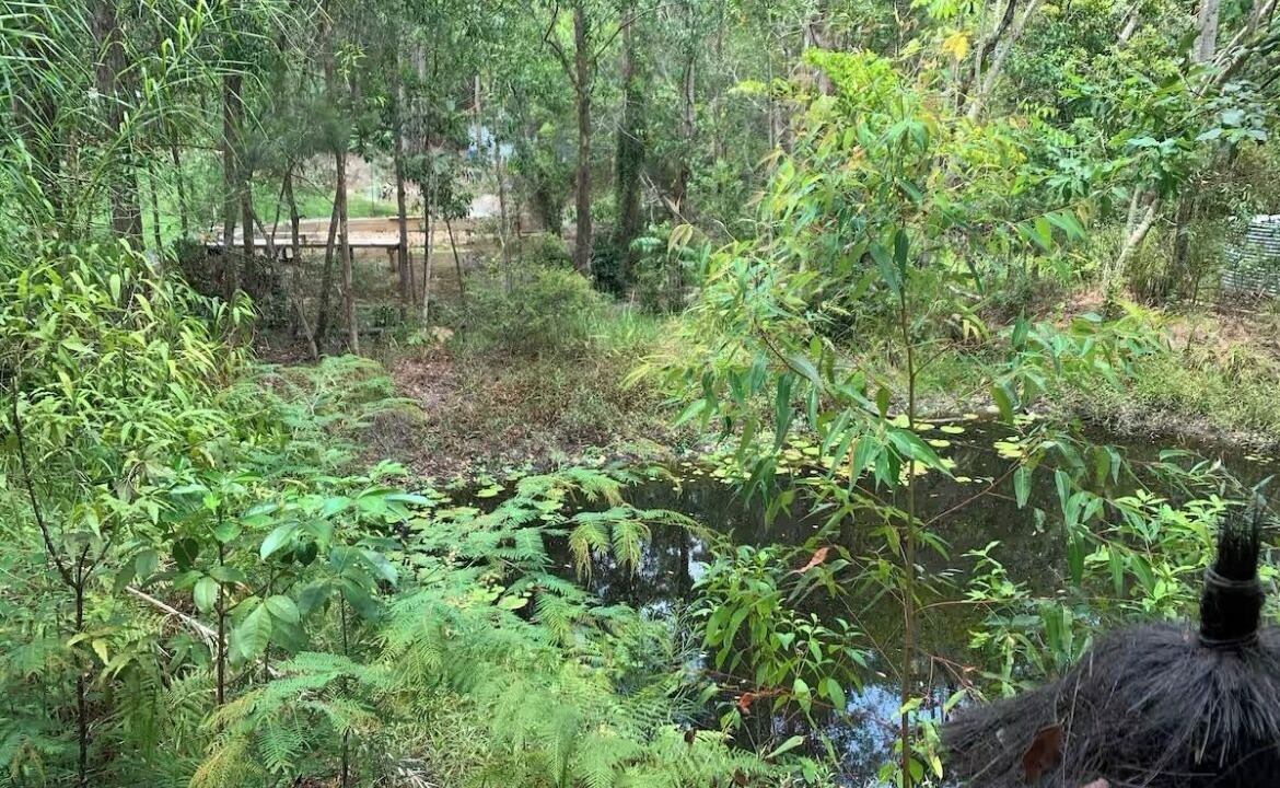 Photo of Outdoor in Doonan