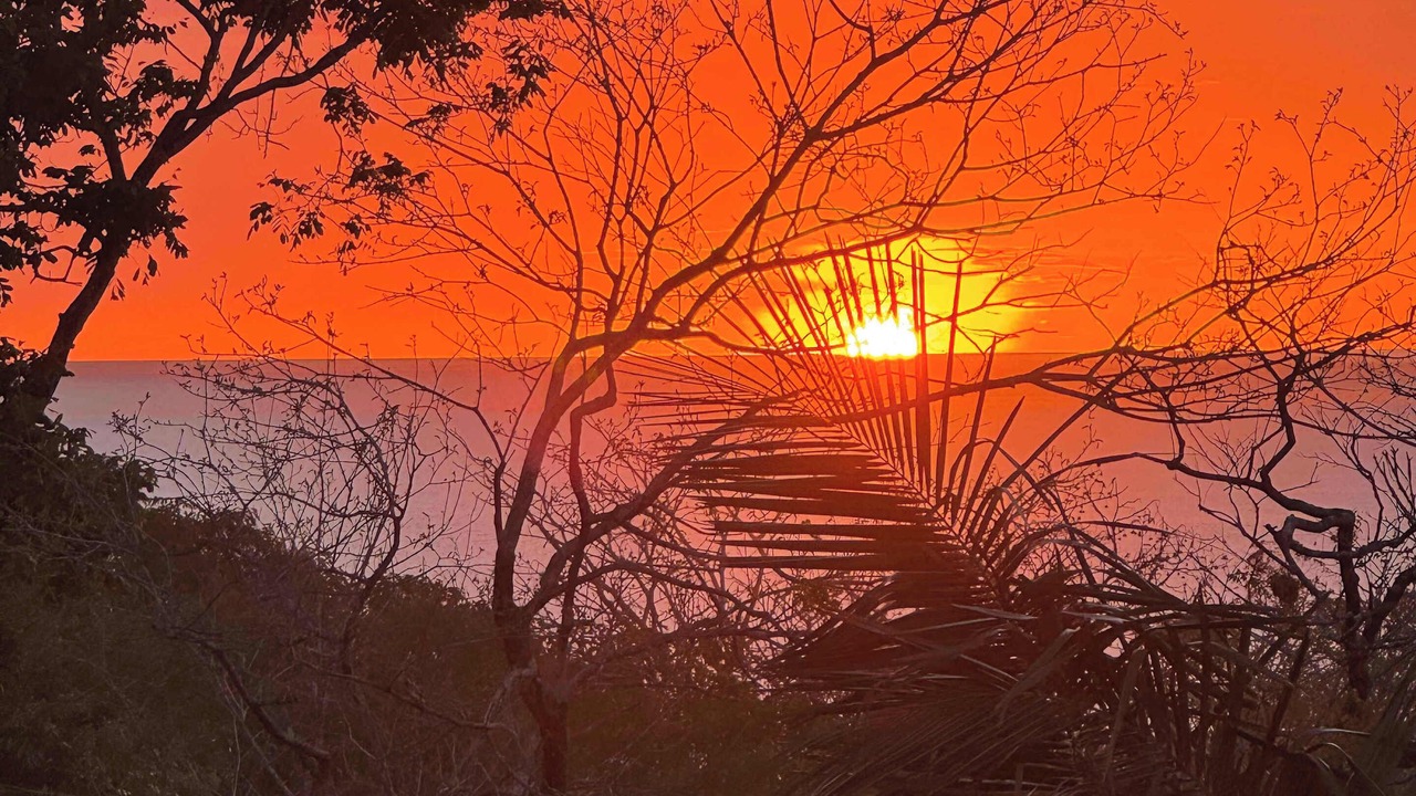 Photo of Others in Nosara