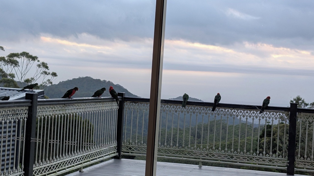 Photo of Outdoor in Mount Glorious