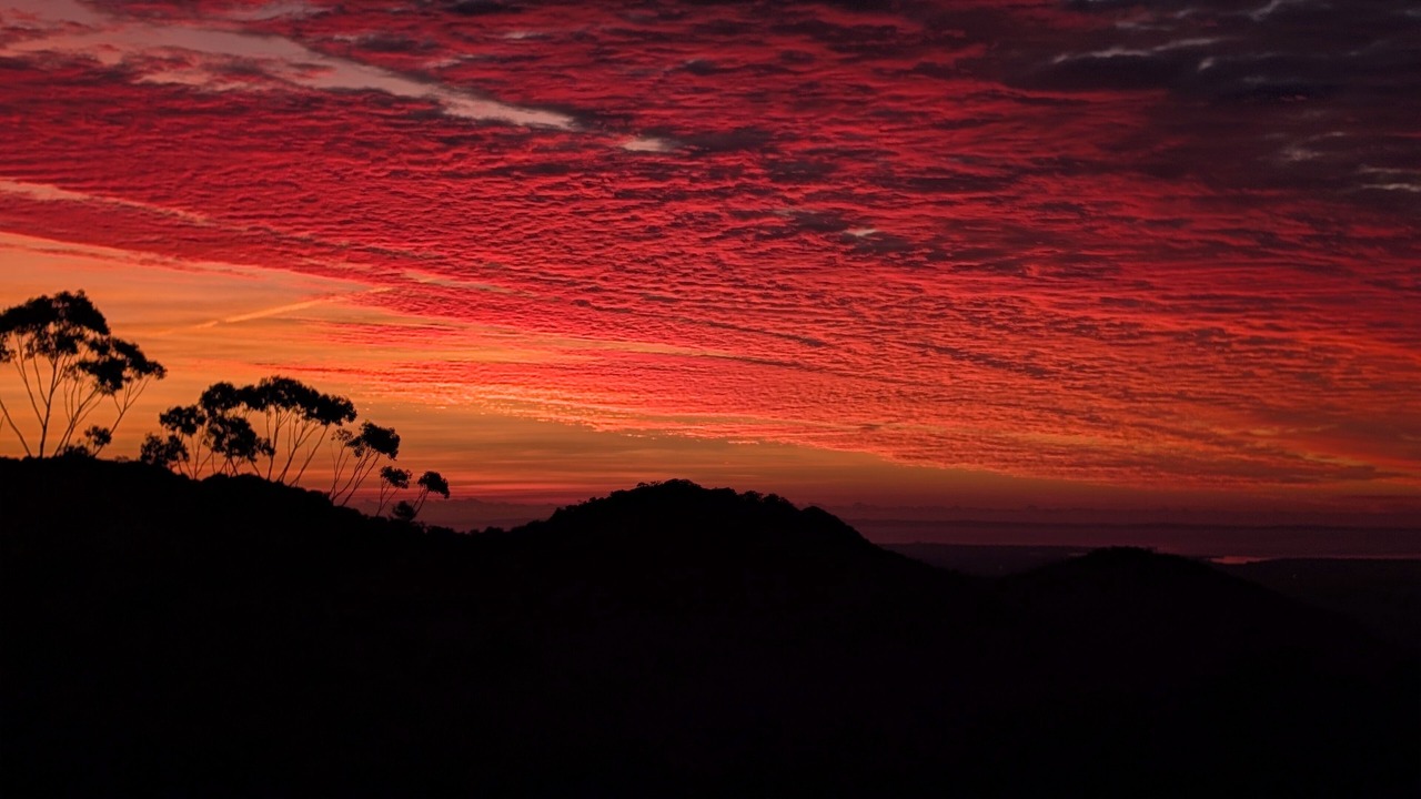 Photo of Others in Mount Glorious