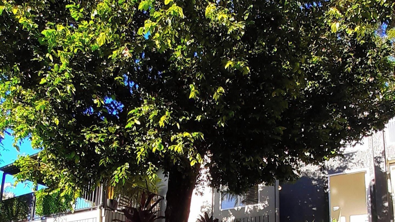 Photo of Outdoor in Buderim
