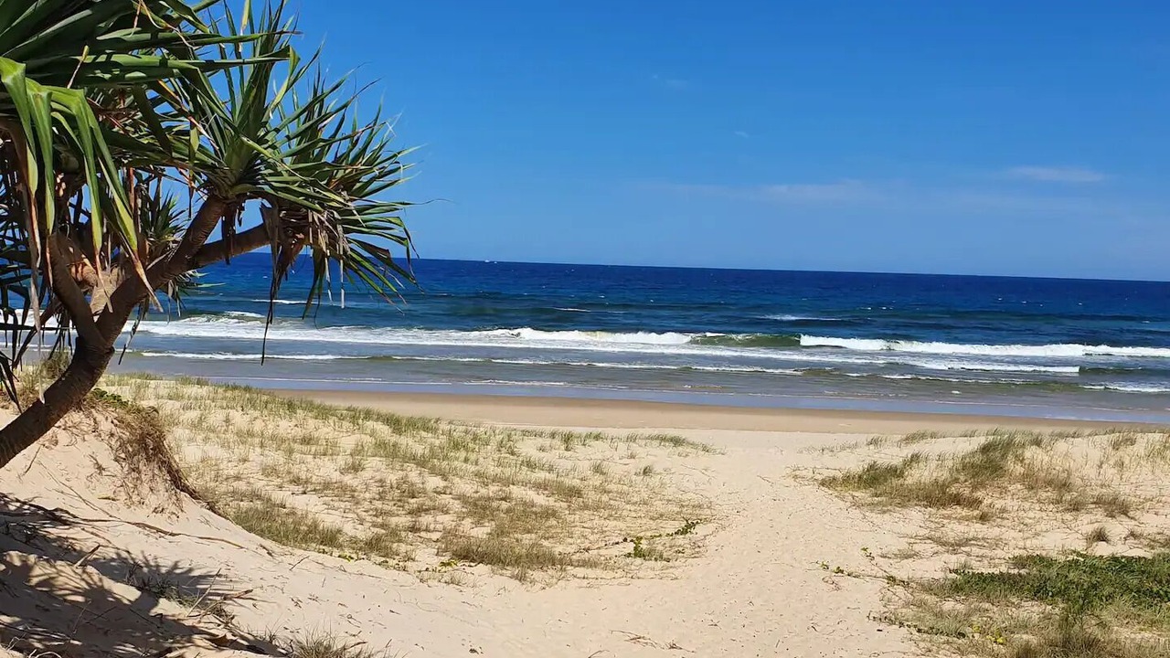 Photo of Others in Sunshine Coast