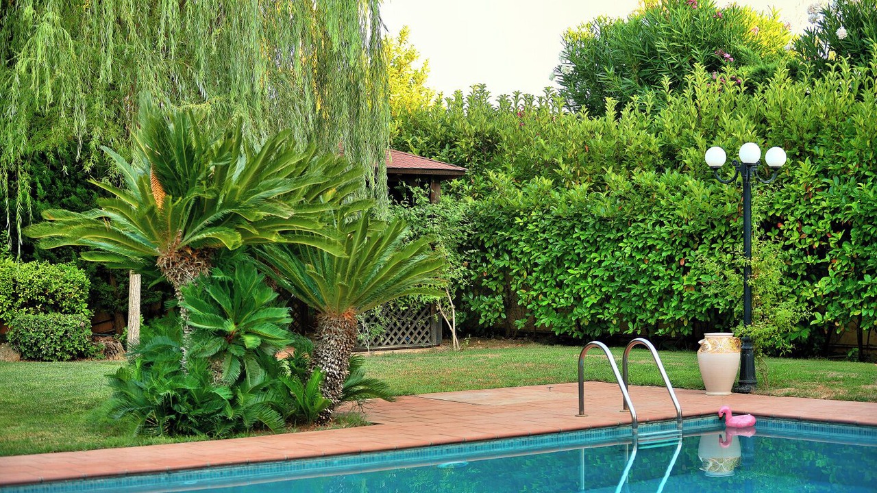 Photo of Outdoor in Oropos