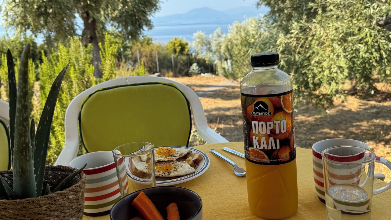 Photo of Outdoor in Afissos