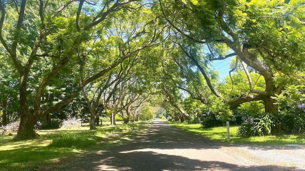 Photo of Others in Mount Tamborine